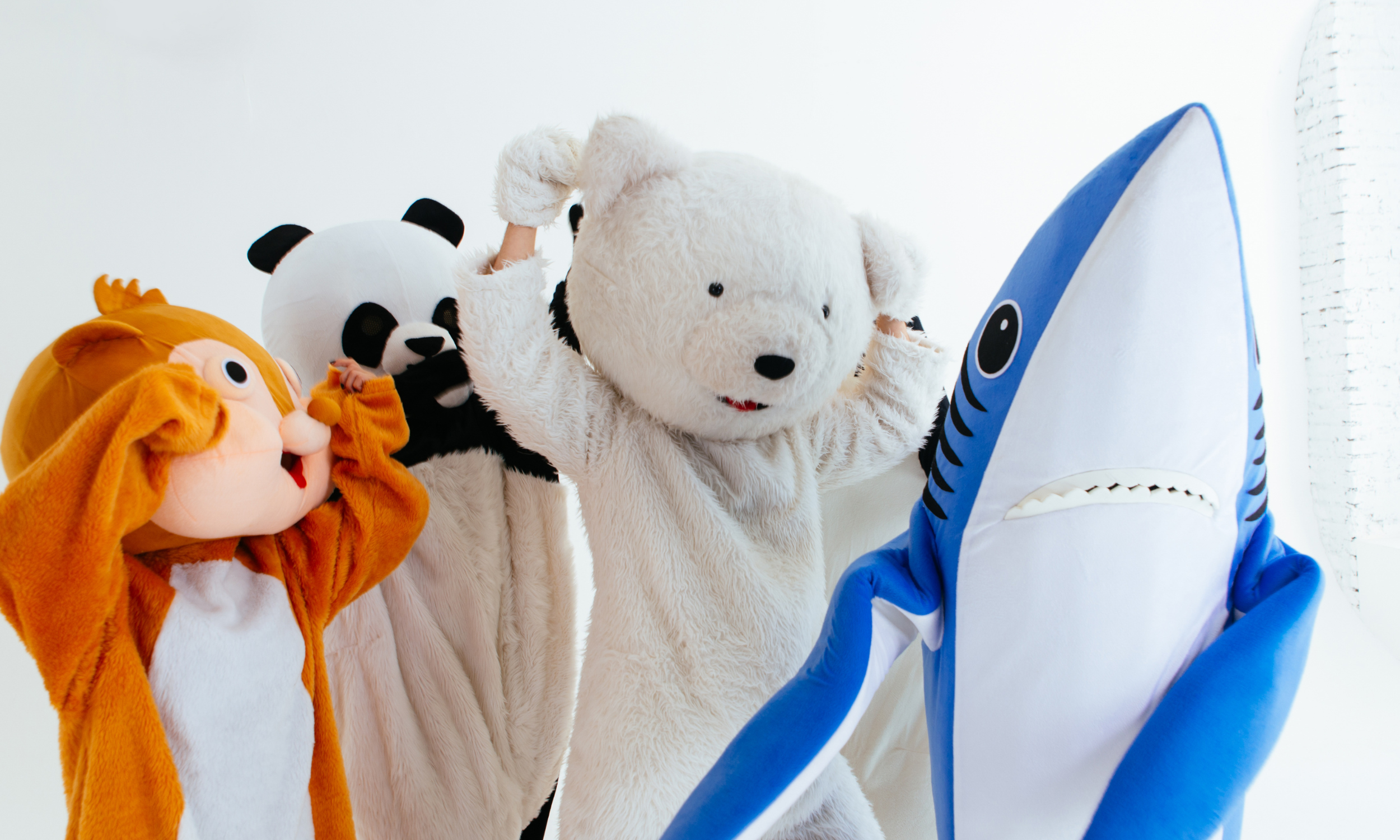 limpieza de botargas